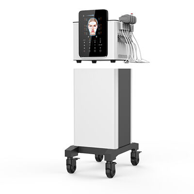 Salão de beleza EMS Machine Face com Serviços 100% Garantia de Autoridade