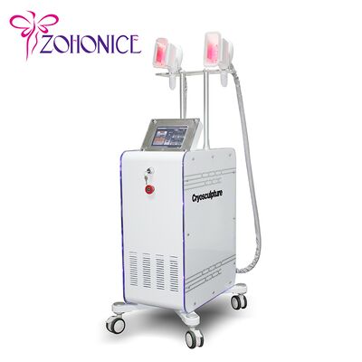 Bom preço Máquina variável do emagrecimento de Cryolipolysis do punho 2 com Membrance anticongelante on-line