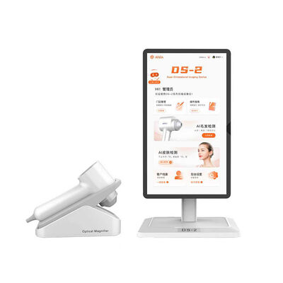 Bom preço 15.6 polegadas touchscreen 2 sondas 5 línguas máquina de análise da pele do cabelo e do rosto on-line