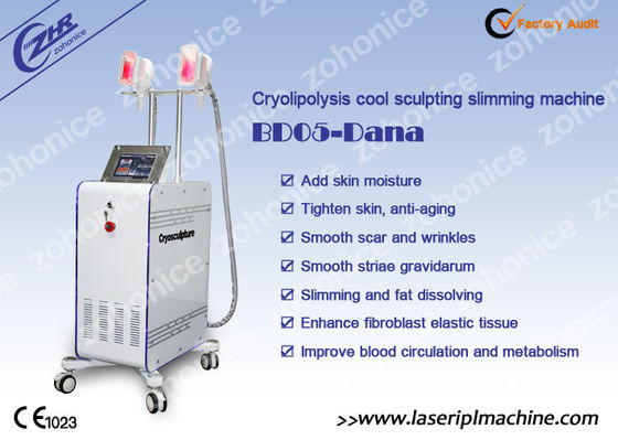 Bom preço Máquina variável do emagrecimento de Cryolipolysis do punho 2 com Membrance anticongelante on-line