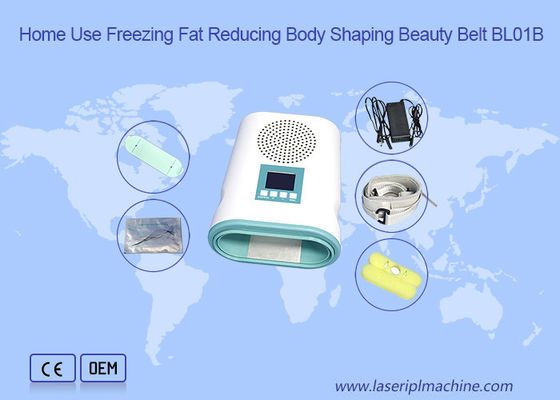 Bom preço Máquina gorda home do emagrecimento de Cryolipolysis da perda do uso 12V on-line