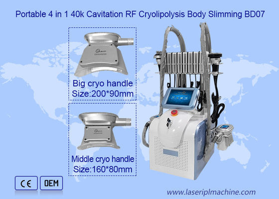 Bom preço 2 máquina do emagrecimento do punho 650nm 1mhz Cryolipolysis on-line
