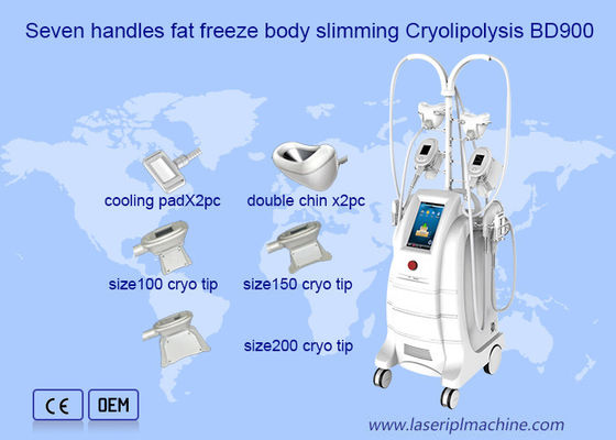 Bom preço Dobro de congelação gordo Chine Removal Cryolipolysis Machine on-line