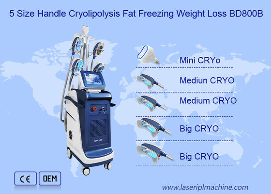 Bom preço Dobro vertical Chin Cryolipolysis Slimming Machine de 360 ângulos on-line