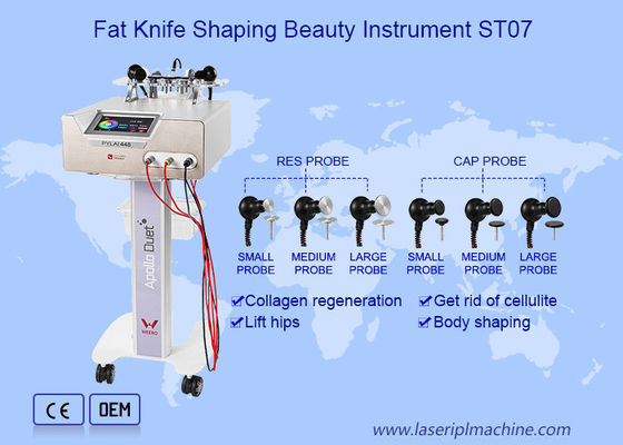 Bom preço Emagrecimento portátil funcional múltiplo do corpo do equipamento da beleza do RES RF do TAMPÃO on-line